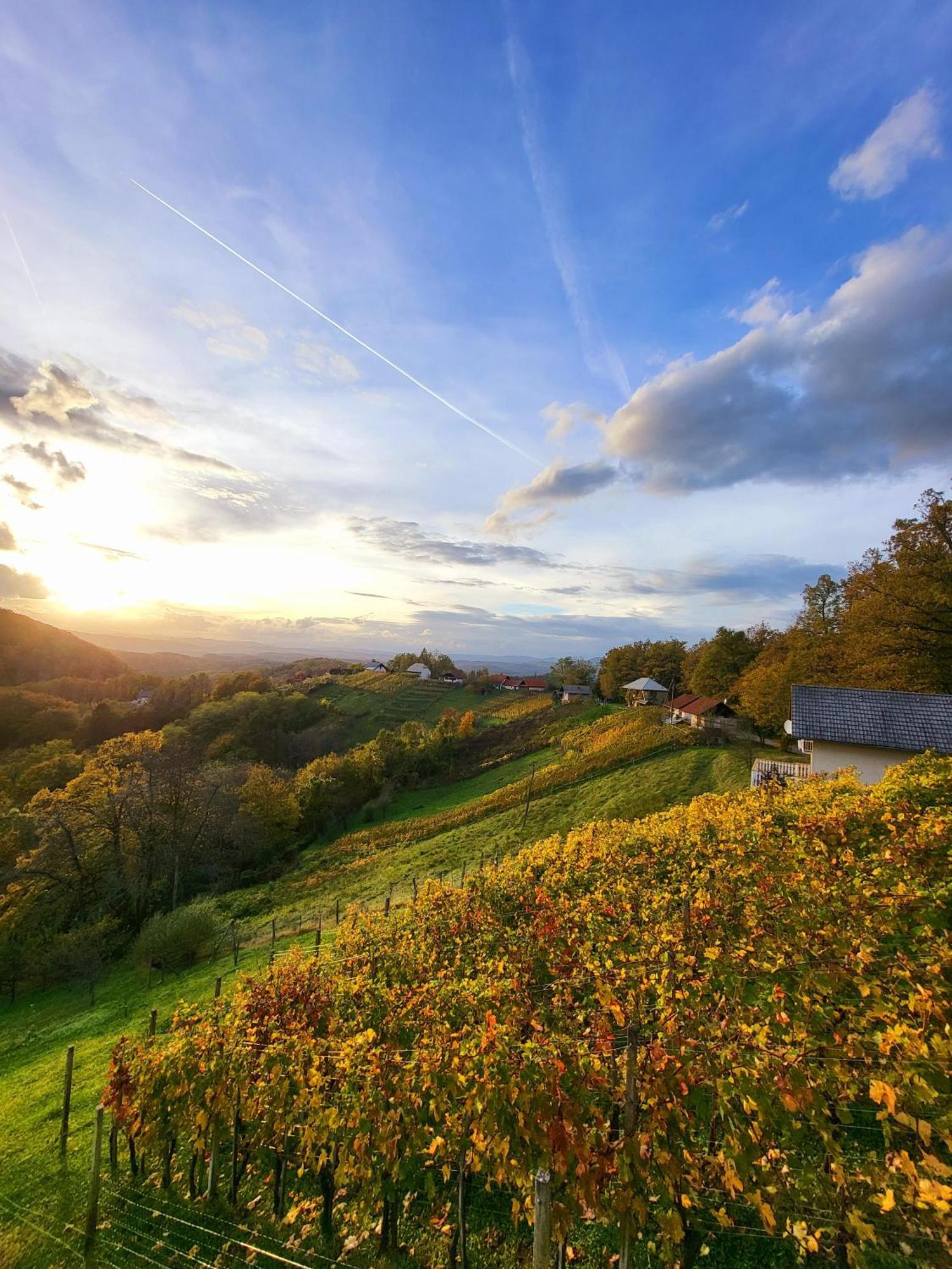Vineyard Cottage Soncni Gric Trebnje Ngoại thất bức ảnh